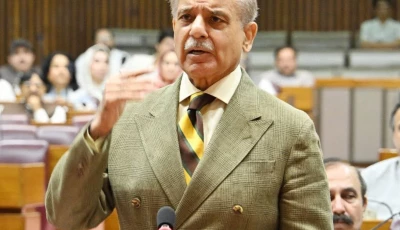 prime minister shehbaz sharif addresses the national assembly in islamabad on friday photo x