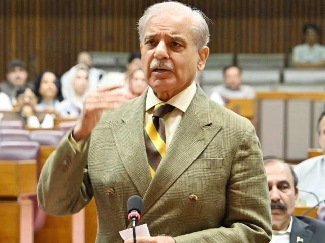 PM Shehbaz announces likely fuel price reduction, seeks unity in House | The Express Tribune