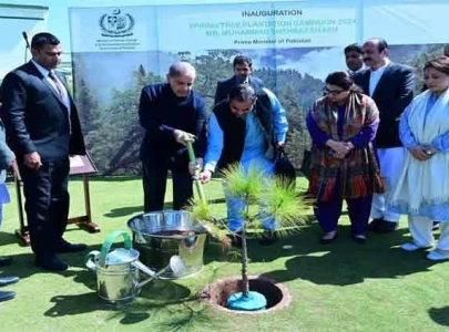 pm kicks off spring plantation drive
