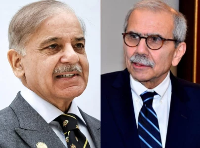 pm shehbaz vows to advance peace efforts in call with lebanese counterpart amid israeli attacks