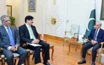 pm shehbaz assures full support for sindh projects amid karachi political tensions