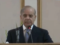 pm shehbaz sharif addressing the pakistan muslim league nawaz pml n parliamentary party meeting held at the parliament house in islamabad on october 21 2026 photo screengrab