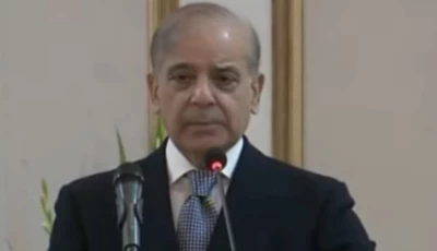 pm shehbaz sharif addressing the pakistan muslim league nawaz pml n parliamentary party meeting held at the parliament house in islamabad on october 21 2026 photo screengrab