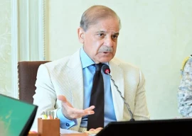 pm shehbaz condemns israeli settlers for storming al aqsa mosque