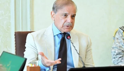 prime minister shehbaz sharif photo pid