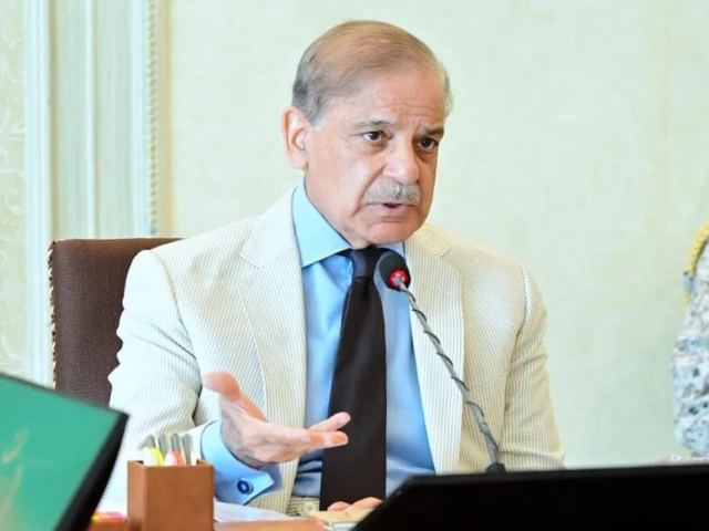prime minister shehbaz sharif photo pid prime minister shehbaz sharif photo pid