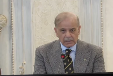 prime minister shehbaz sharif addresses the federal cabinet on february 4 2026 screengrab