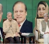 it would ve been criminal to let k p burn pm it would ve been criminal to let k p burn pm