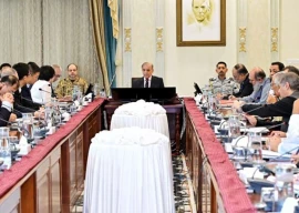 pm inaugurates chinese led special economic zone welcomes 100m investment