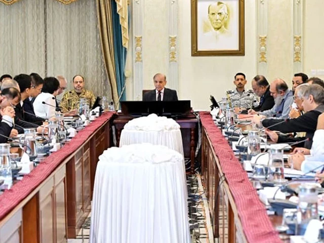 prime minister shehbaz sharif meets the delegation of chinese garments group challenge fashion private limited in islamabad on august 15 2025 photo radio pakistan