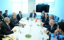 pm shehbaz reaffirms readiness to play constructive role for regional peace in meeting with pezeshkian