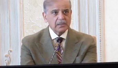 prime minister shehbaz sharif addresses a meeting on the country s law and order situation in islamabad on tuesday screengrab