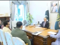 prime minister shehbaz sharif chairs a meeting on the pims fire incident in islamabad on wednesday screengrab