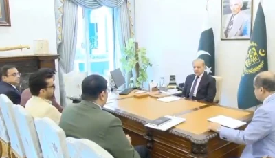 prime minister shehbaz sharif chairs a meeting on the pims fire incident in islamabad on wednesday screengrab