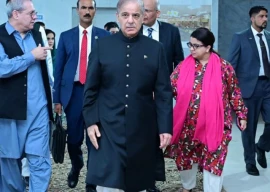 pm shehbaz calls for fast tracking of islamabad technology park project