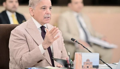 prime minister shehbaz sharif photo x