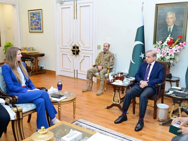 the prime minister urged the uk to help ease regional tensions citing its strong ties with both pakistan and india photo app the prime minister urged the uk to help ease regional tensions citing its strong ties with both pakistan and india photo app