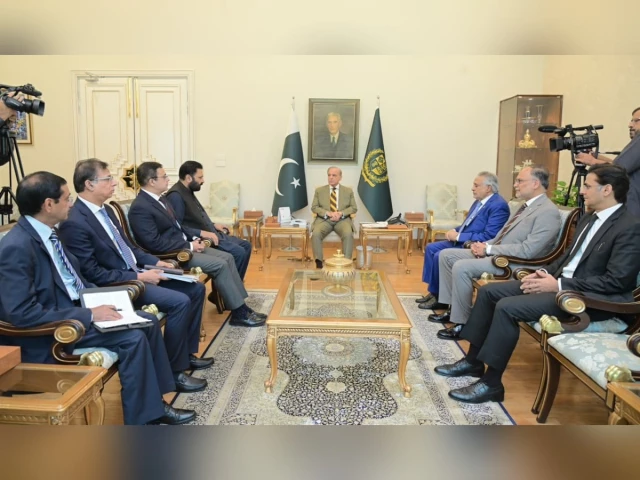 Centre committed to working with new G-B government: PM Shehbaz Centre committed to working with new G-B government: PM Shehbaz