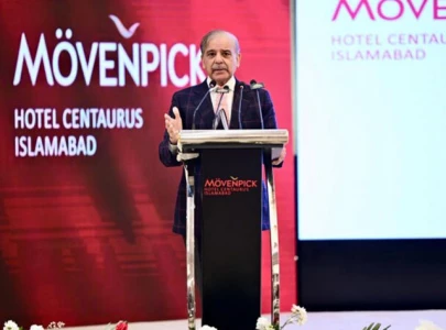 pm shehbaz eyes lower electricity costs for economic growth pm shehbaz eyes lower electricity costs for economic growth