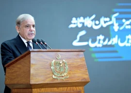pm shehbaz restores green channel for overseas pakistanis pm shehbaz restores green channel for overseas pakistanis