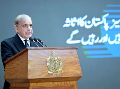 pm shehbaz restores green channel for overseas pakistanis