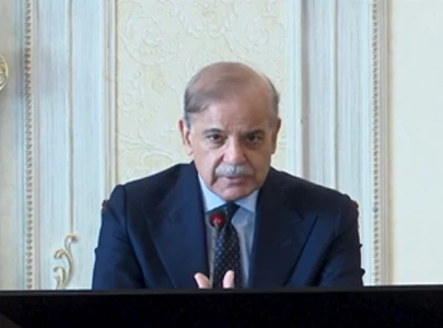 pm greenlights headhunting panel for hec chief pm greenlights headhunting panel for hec chief