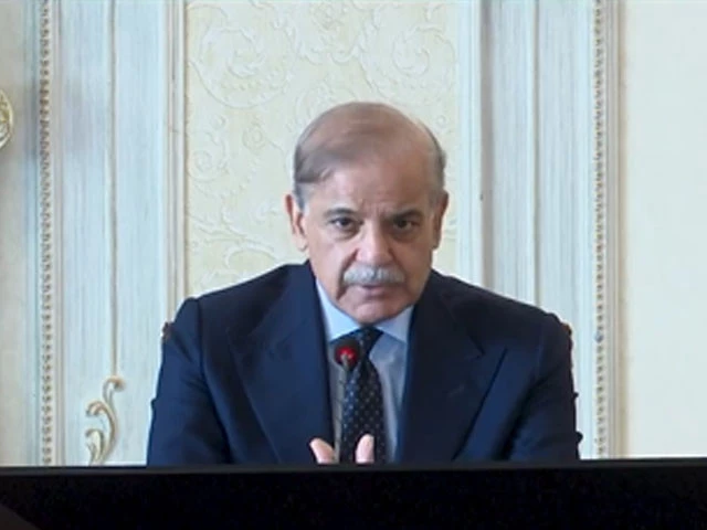 pm shehbaz speaking during a cabinet meeting on june 18 photo screen grab from x com govtofpakistan pm shehbaz speaking during a cabinet meeting on june 18 photo screen grab from x com govtofpakistan