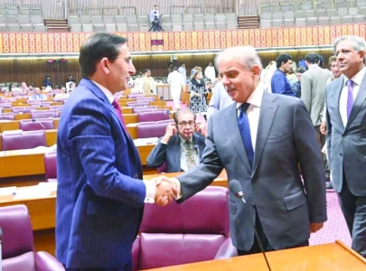 pm holds out an olive branch to pti pm holds out an olive branch to pti