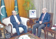 president asif zardari and prime minister shehbaz sharif discuss political security and economic situation during a meeting at the aiwan e sadr photo express