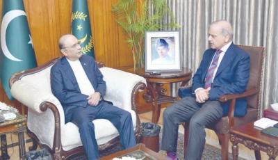 president asif zardari and prime minister shehbaz sharif discuss political security and economic situation during a meeting at the aiwan e sadr photo express