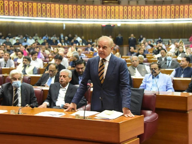 pm shehbaz sharif addressing the national assembly in islamabad photo naofpakistan twitter pm shehbaz sharif addressing the national assembly in islamabad photo naofpakistan twitter