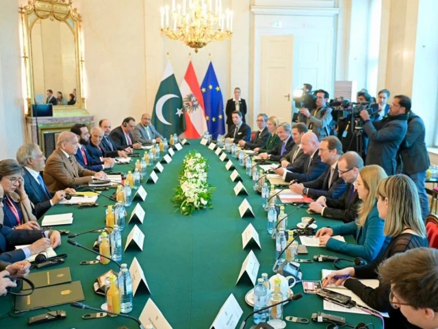 pm shehbaz sharif in delegation level talks with austrian chancellor christian stocker in vienna on february 16 photo pid pm shehbaz sharif in delegation level talks with austrian chancellor christian stocker in vienna on february 16 photo pid