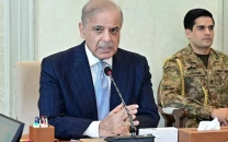 pm shehbaz says pakistan making all efforts to resolve us iran dispute
