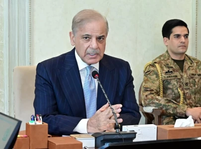 pm shehbaz says pakistan making all efforts to resolve us iran dispute