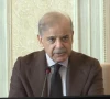 pm shehbaz sharif screengrab