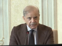 pm shehbaz sharif screengrab