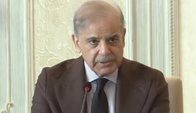 pm shehbaz sharif screengrab