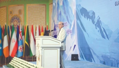 pm shehbaz sharif addresses a conference on glaciers preservation in dushanbe photo ppi