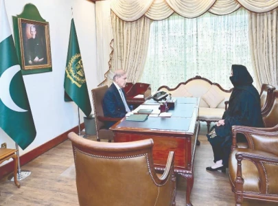 pm shehbaz seeks report on smart meters installation