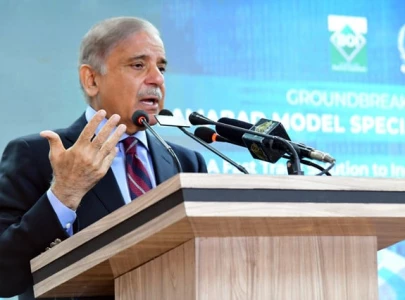 poll delay pm adds grist to rumour mill poll delay pm adds grist to rumour mill