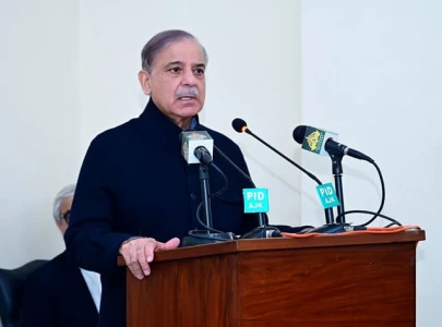 shehbaz promises economic revamp shehbaz promises economic revamp