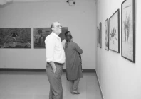 a world out of place exhibition presents a diverse range of contemporary practices at pnca