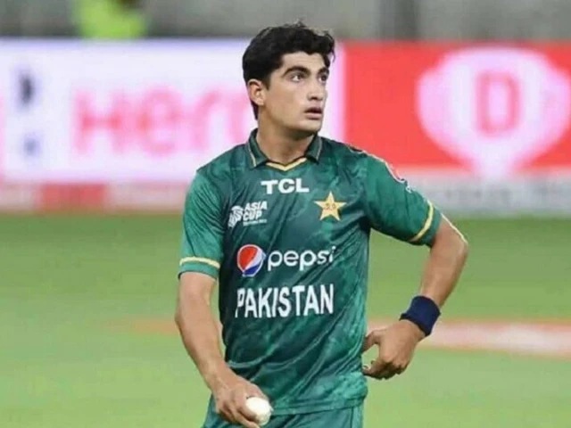 photo file photo file