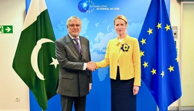 deputy prime minister ishaq dar and the eu high representative vice president kaja kallas in brussels photo mofa