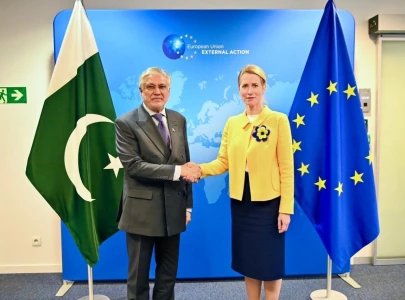 pakistan eu pledge to deepen trade and investment ties via gsp plus scheme during brussels talks