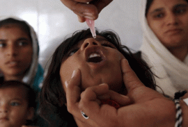 students paint vision of polio free pakistan students paint vision of polio free pakistan