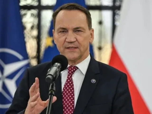 polish foreign minister radoslaw sikorski photo aa file polish foreign minister radoslaw sikorski photo aa file