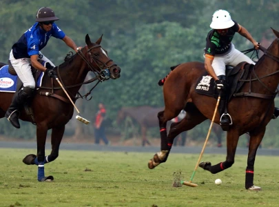 master paints reach main sq seagold polo cup final
