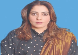 ppp launches fresh attack on pml n ppp launches fresh attack on pml n