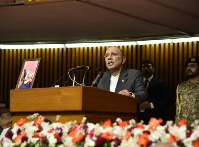 president zardari issues warning against use of neighbouring territory to destabilise our peace